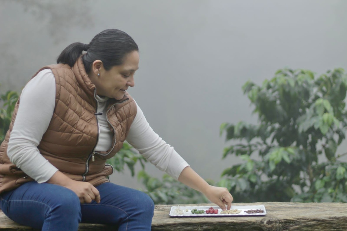 Julia Ortega shows what coffee beans look like.JPG